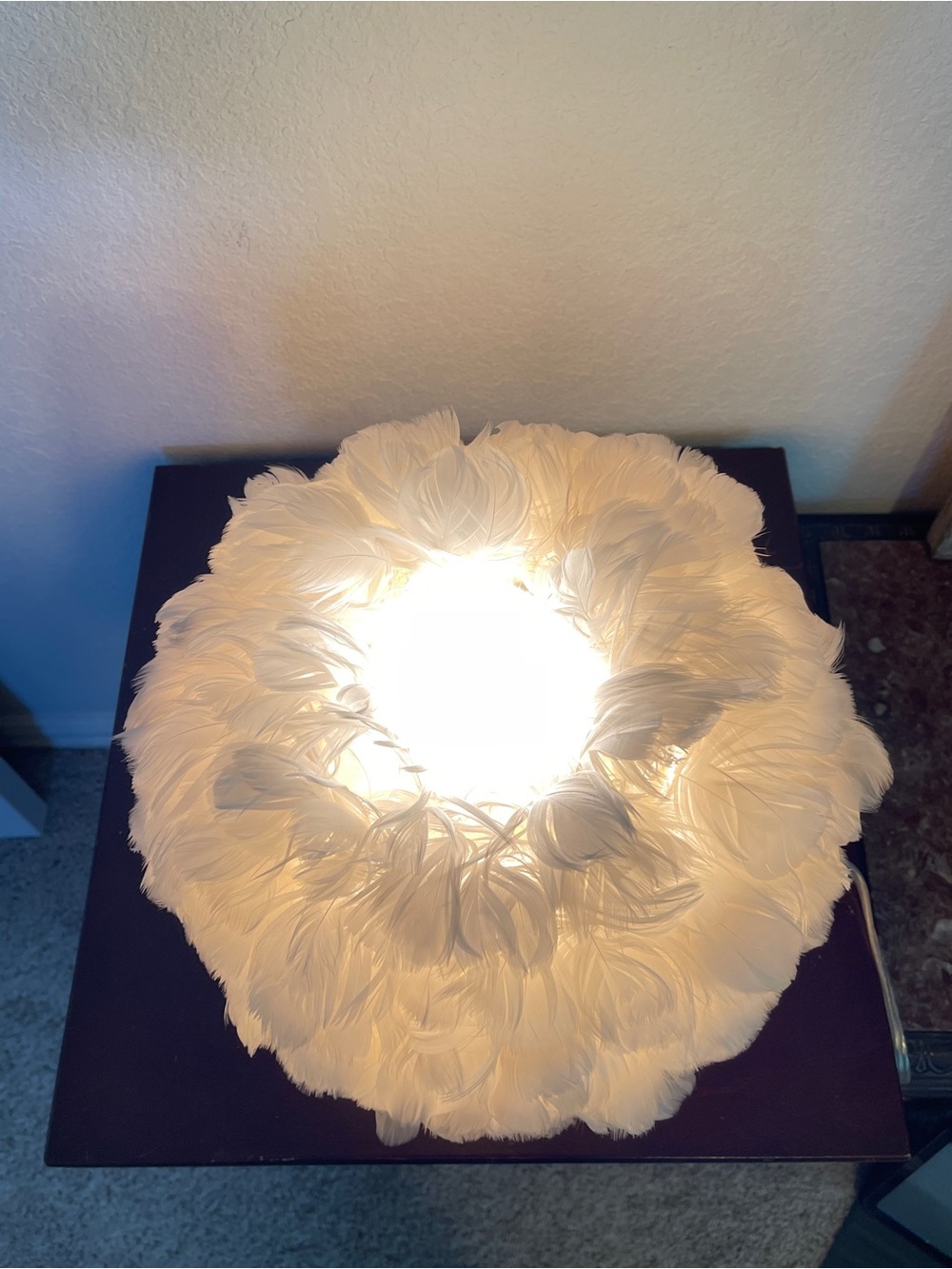 Modern Feather 1-Light Ball-Shaped Table Lamps - Picture 6 of 7
